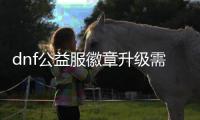 dnf公益服徽章升级需要注意什么