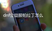 dnf公益服帕拉丁怎么加点最有效？